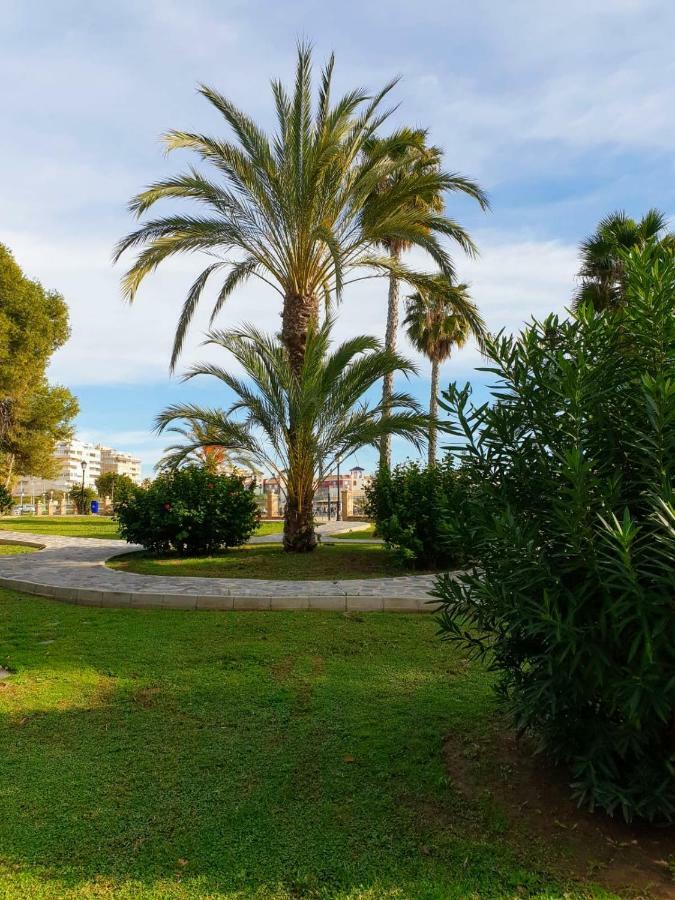 Apartament Margaret Τορεβιέχα Εξωτερικό φωτογραφία